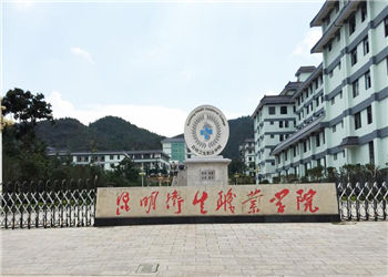 昆明卫生职业学院成人高考2019年招生简章