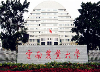 云南农业大学成人高考2019年招生简章
