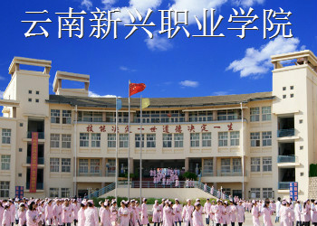 云南新兴职业学院2023年三校生招生简章(图1)