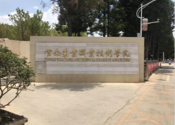 云南农业职业技术学院2024年五年制大专招生简章(图1)